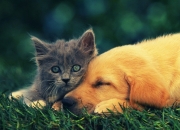 开云sport-老鹰险胜北京队，两种篮球哲学的双城记