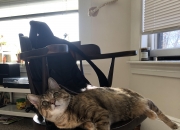 开云体育中国-一场唯一的比赛，当安哥拉之星划过巴西，命运的球交由凯恩