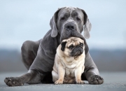 开云平台-双重镜像之战，当福克斯主宰费城之夜