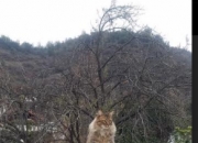 开云APP-破茧成蝶，世界排名争夺战之夜，恩比德的无声咆哮