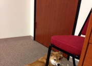 开云下载-双生引擎，奥斯梅恩持续发威与摩纳哥横扫对手的足球辩证法