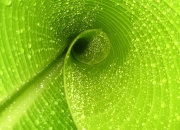 开云体育平台APP-孤星难耀，莫兰特51分神迹难敌步行者团队洪流