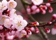 开云体育中国-足球之夜的平行叙事，莫德里奇的尊严与巴黎的重生