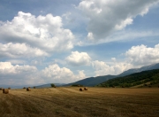 开云体育在线-当欧冠淘汰赛遇上NBA，芝加哥公牛的加时哲学