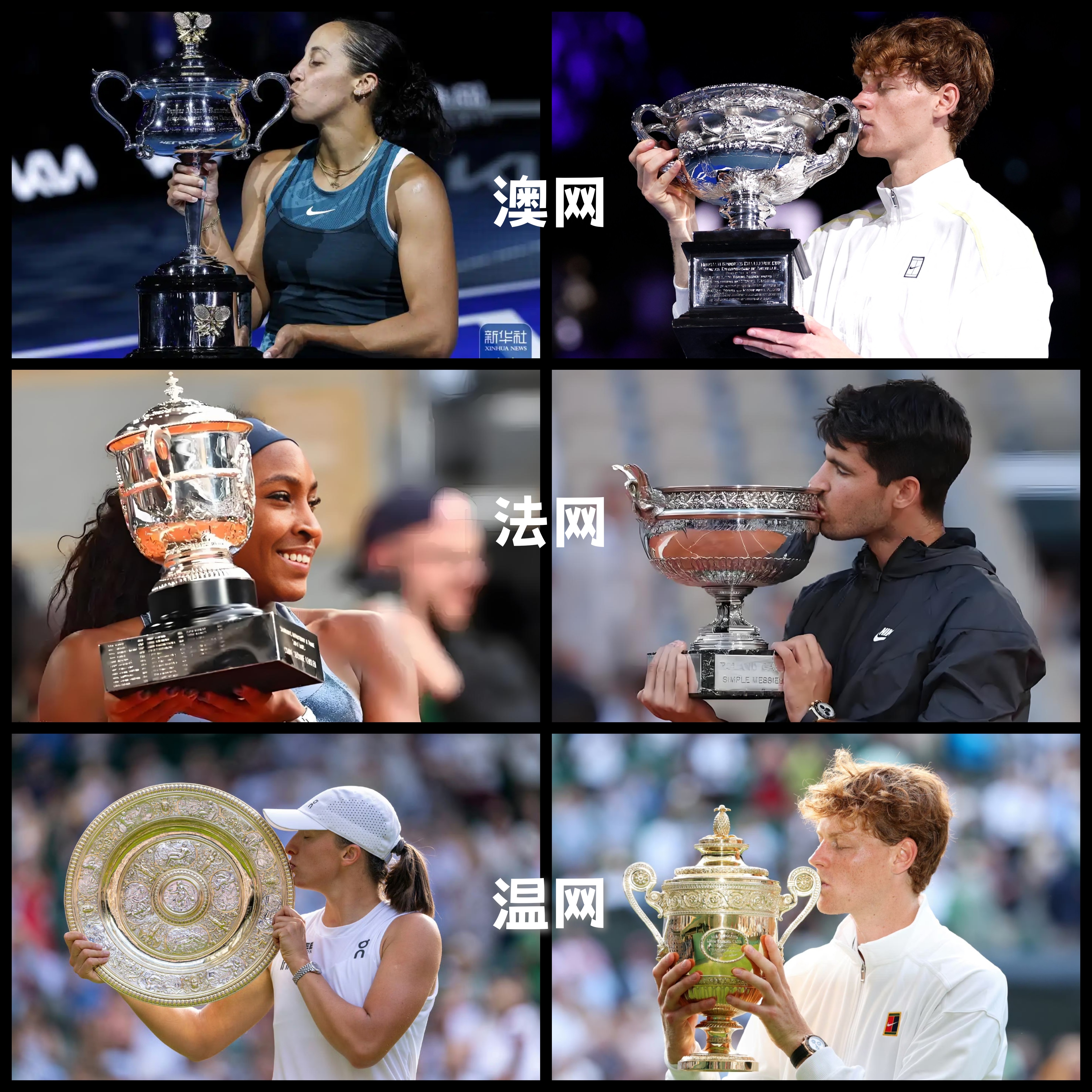 温网力克戴维斯杯，辛纳关键制胜的简单介绍