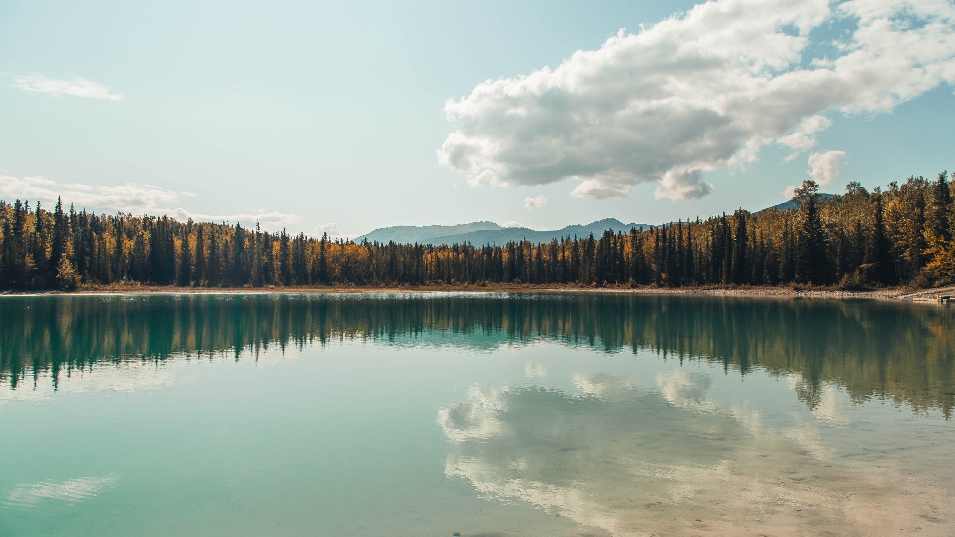 双城记，极速狂飙与团队狂胜—现代竞技中的速度与掌控力