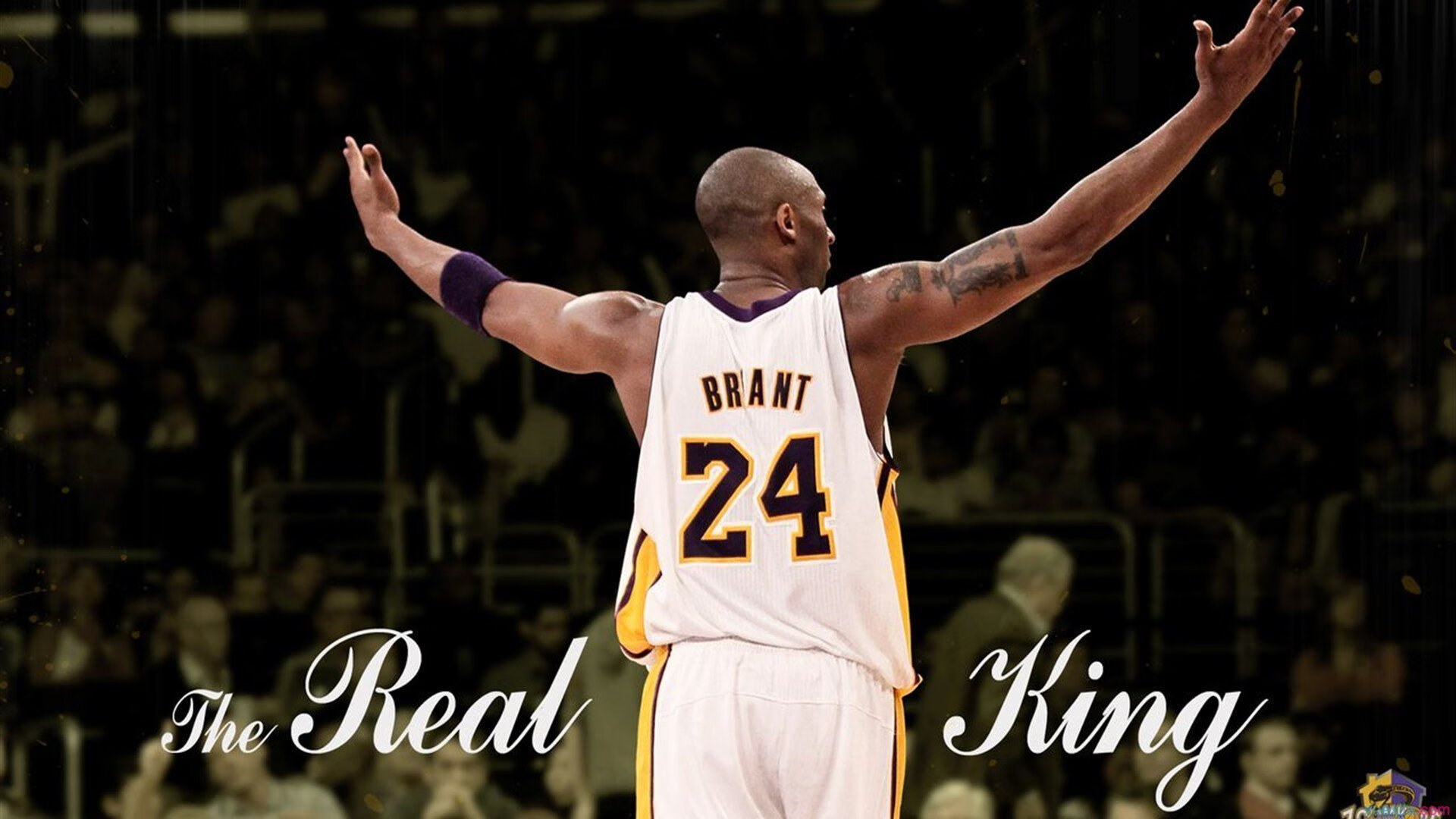 优雅控制与原始血性,现代足球的双面图腾