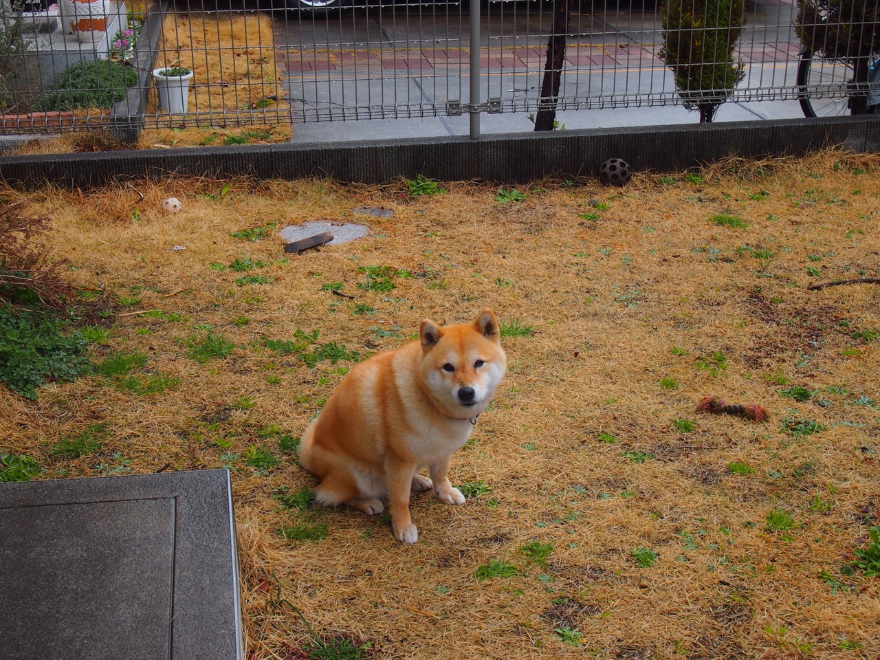 虚拟入侵，当CBA广东队跨次元翻盘NBA骑士，恩比德却在总决赛觉醒