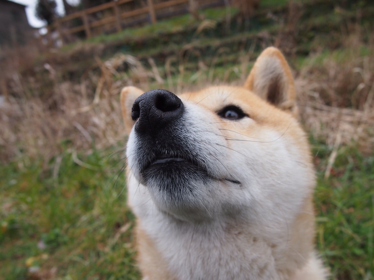 子夜绽放奥运关键夜，从撕裂伤疤到编织王冠，克莱的冰与火救赎