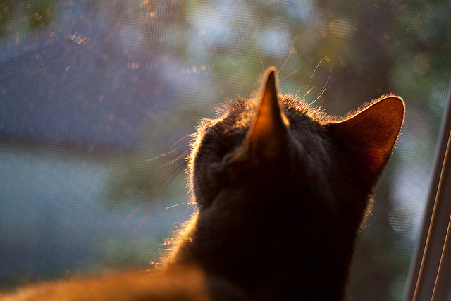 传奇书写夜，乔治一球定义顶级巨星对决