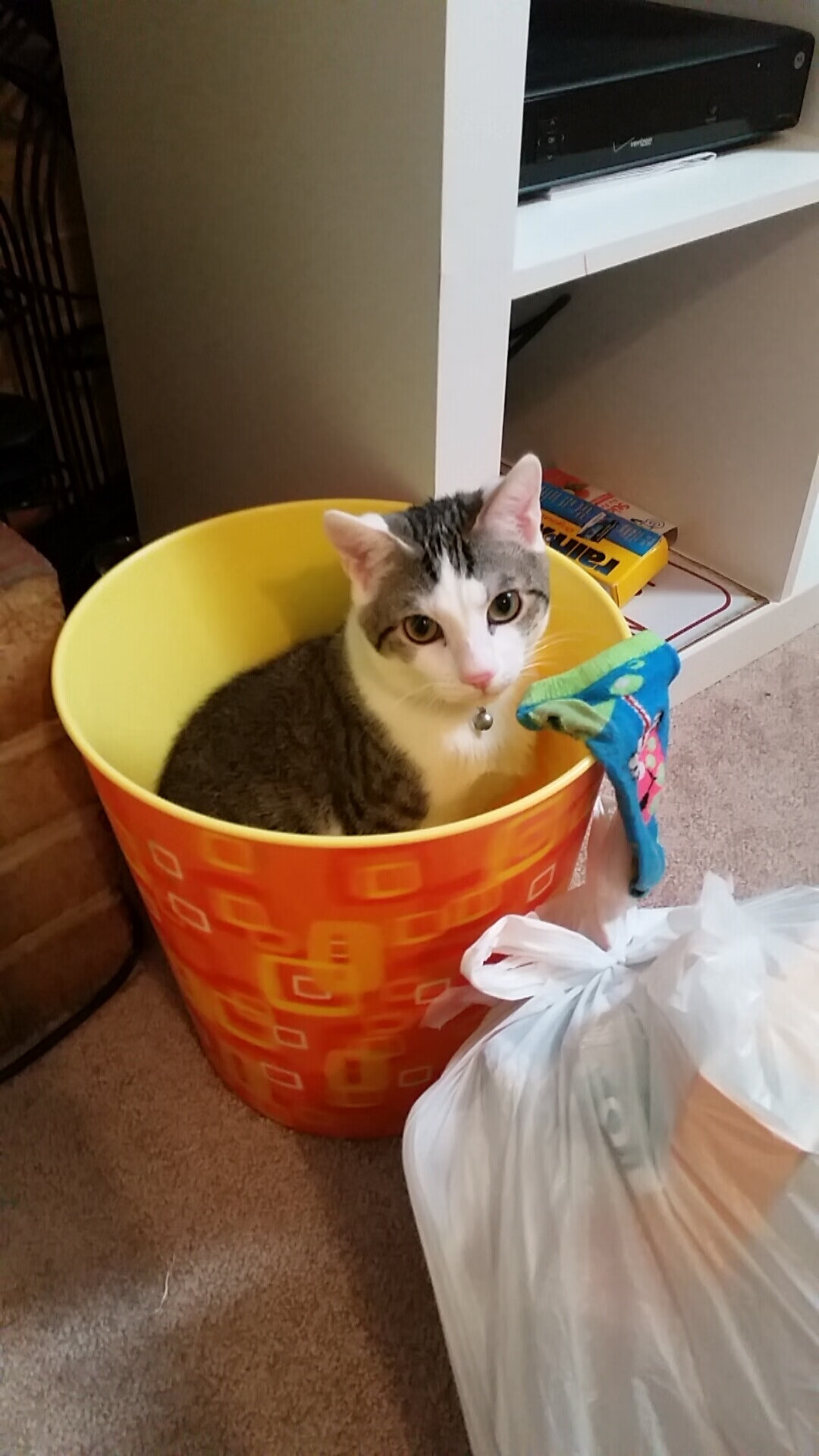 草原雄鹰掠过天山，当老鹰队掀翻新疆，利拉德诠释何为硬仗之王