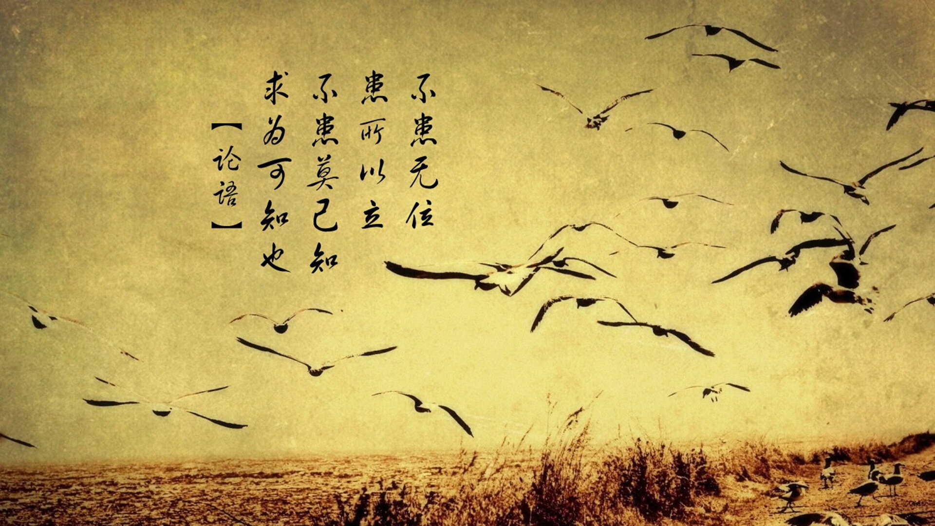 绿茵平行线，当德甲巅峰战遇见毕尔巴鄂友谊赛，再看玻利维亚足球的远方