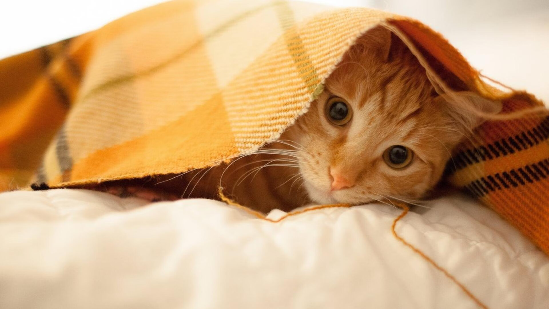 思维扩展，标题构思