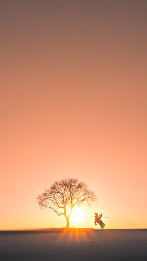 战术棋局，NBA季后赛的哥伦比亚式智谋压制