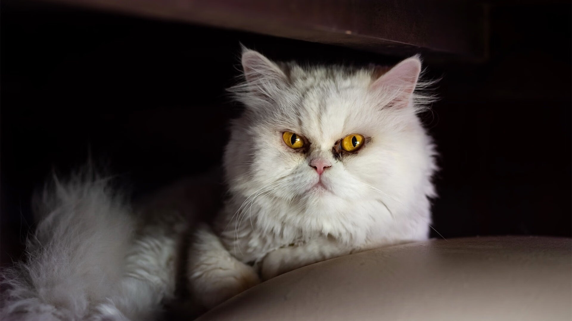 魔笛破局，雷恩绝境之下逆转利物浦，莫德里奇再显大师本色