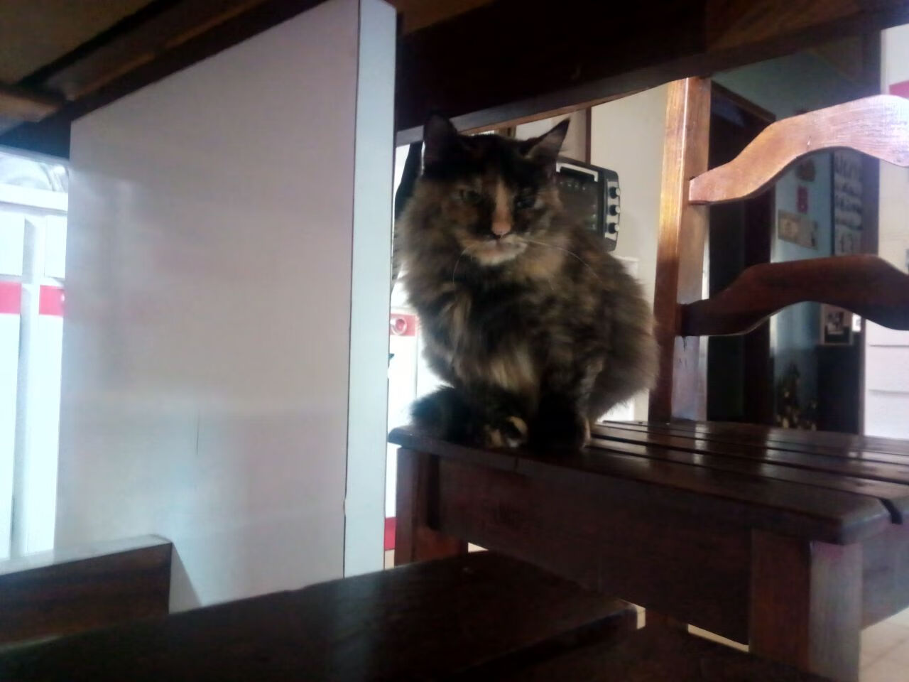 双城记，当F1轮胎的尖叫，遇见乌拉圭人淘汰赛的咆哮