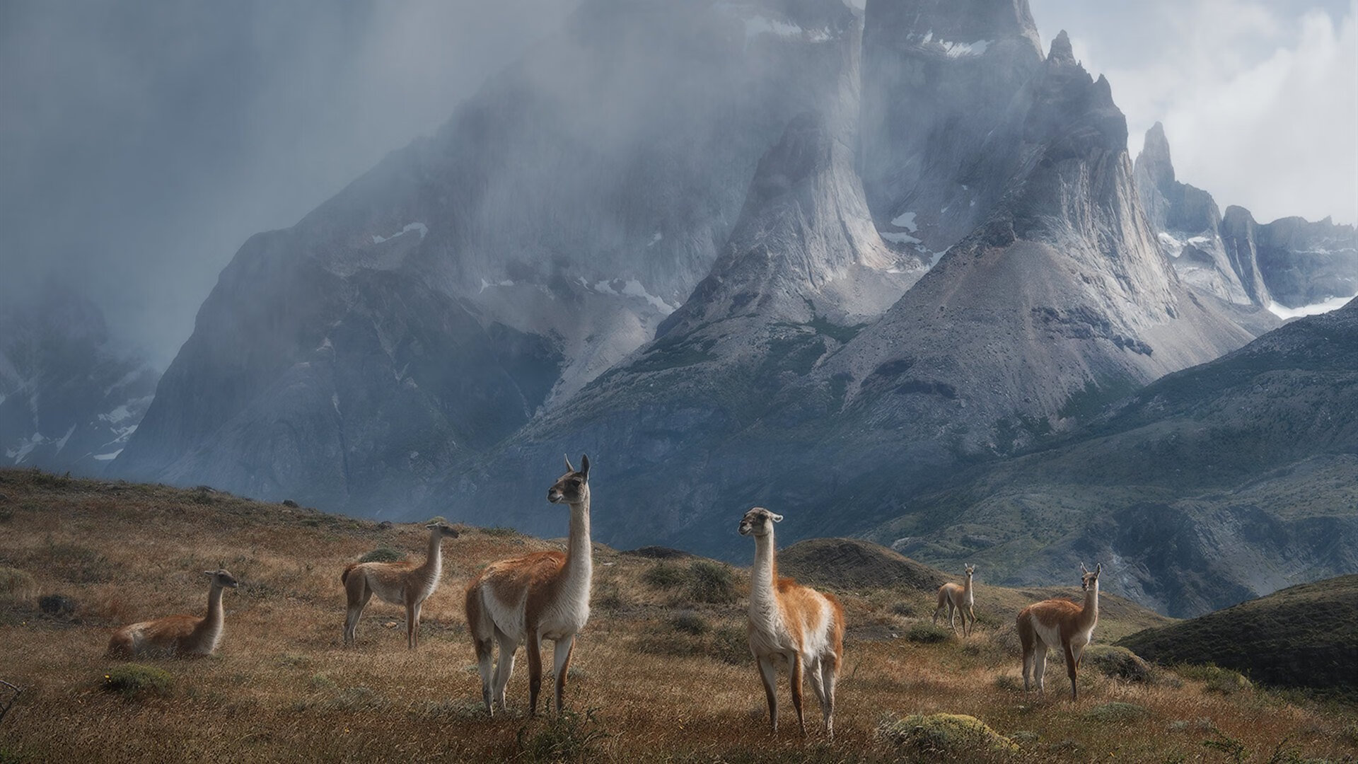 黄蜂的节奏与灰熊的堡垒，约基奇如何成为撕裂防线的关键先生