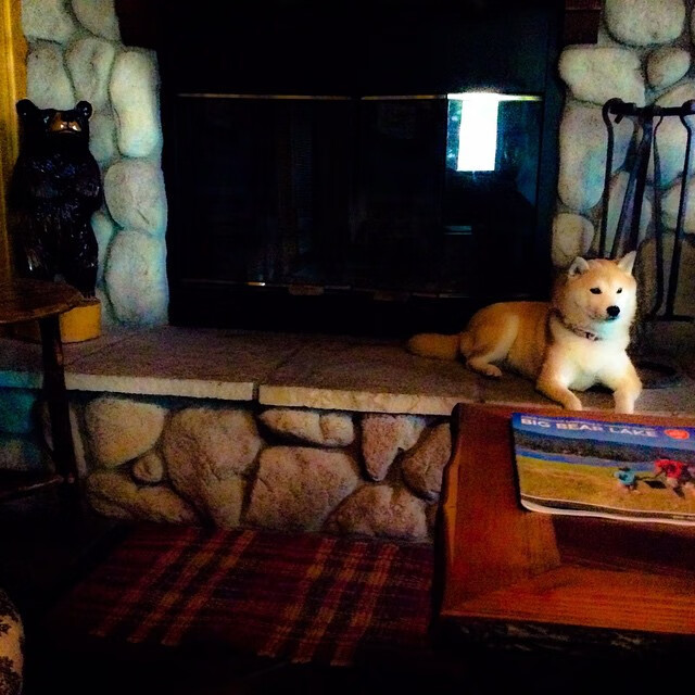 当爵士与欧文一同接管比赛，跨越篮球与足球的艺术之夜