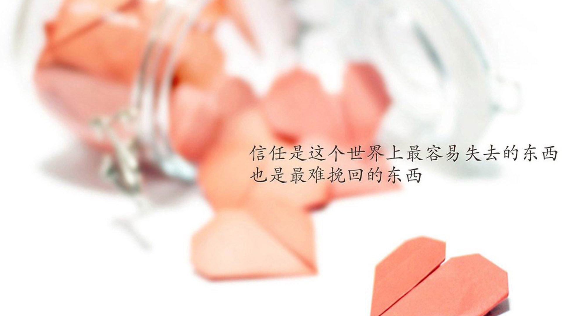 当蓝武士的齿轮碾过童话，2026世界杯B组，一场关于足球未来的降维打击