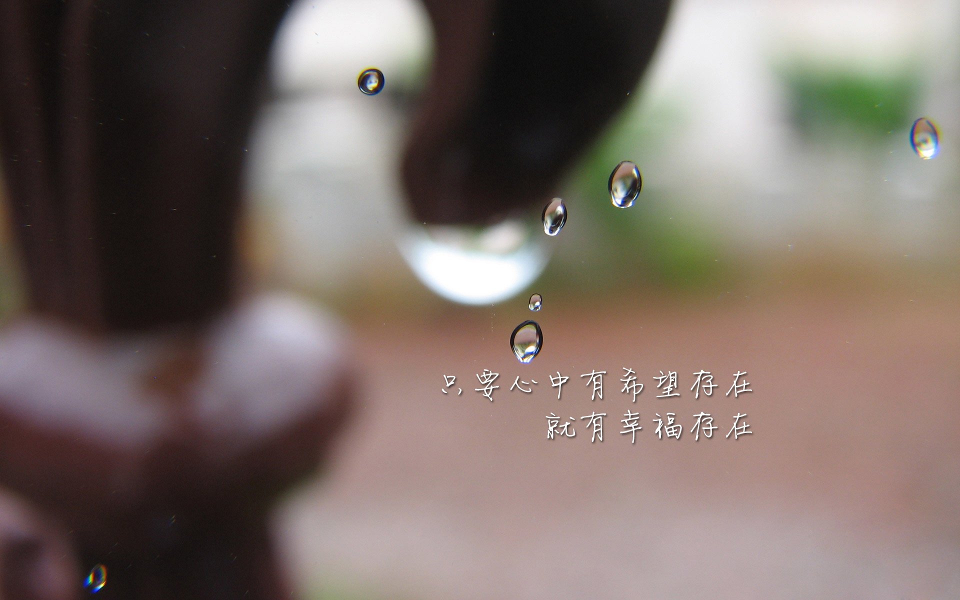（二选一）