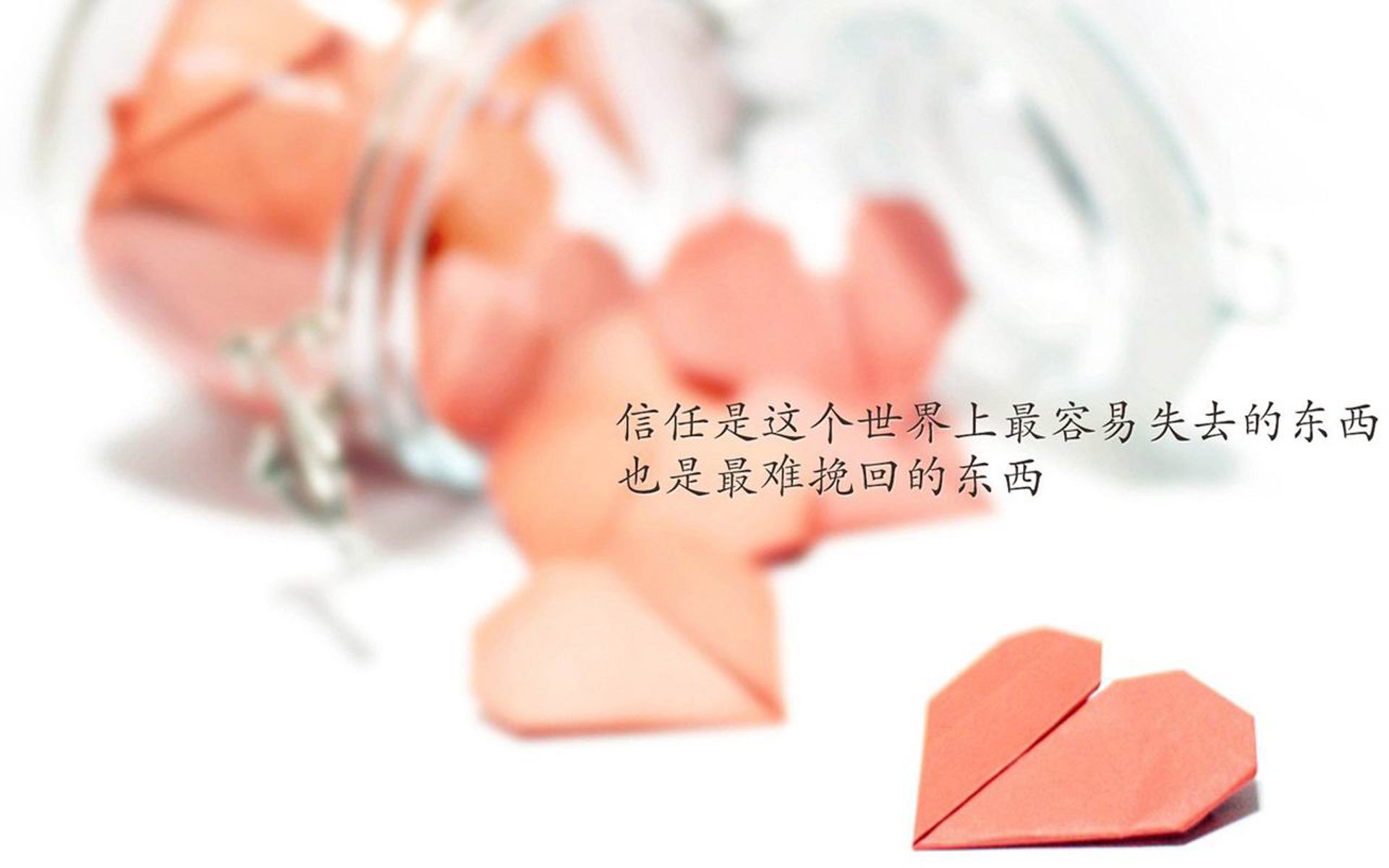 （多版本扩展）
