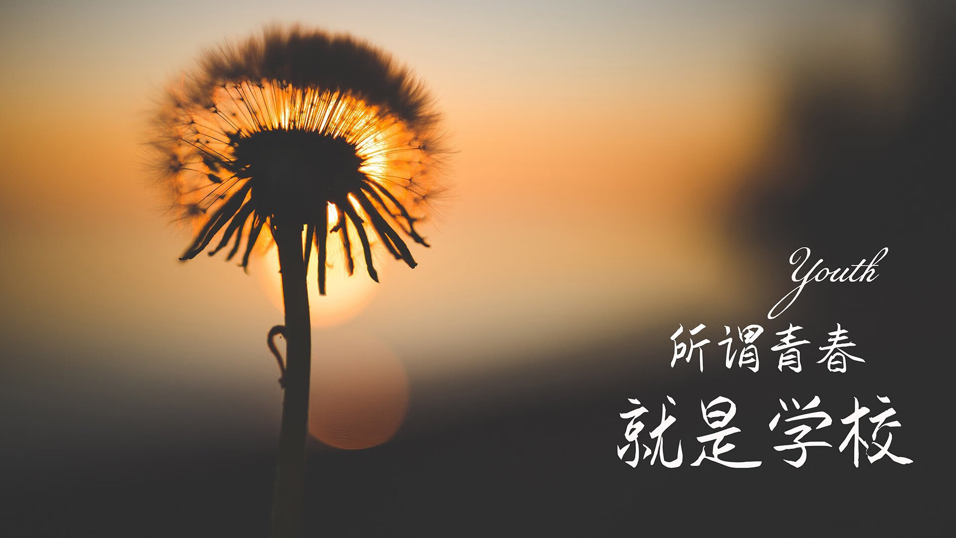 为了满足唯一性和关键作用,我构思了一个颠覆性的设定